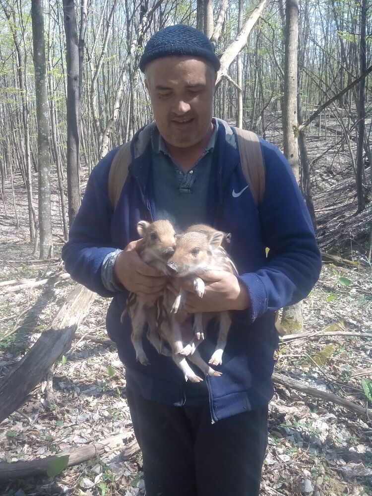 ���������� ���������, ���� ������� �����, 47 ���, ������������ ��� ������, ����� � ���������, c�������� ���������