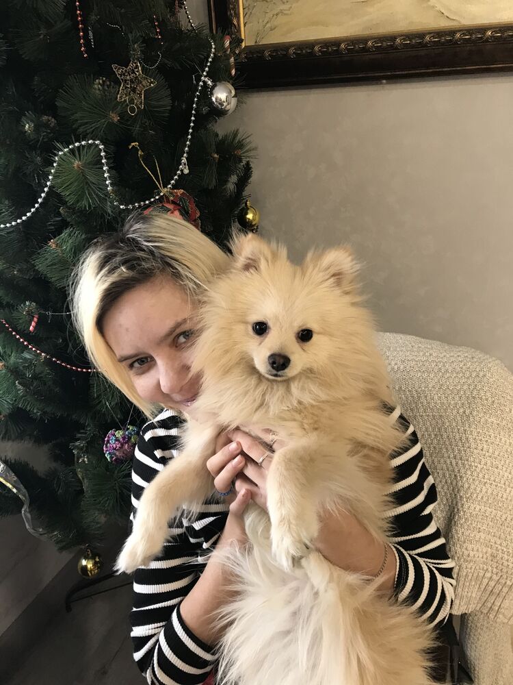 ���� 55191165 ������� ��������, 28 ���, ���� ���������� � ������