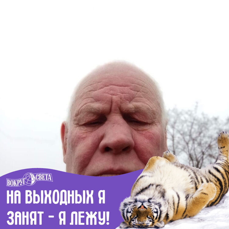  33168955  , 66 ,    