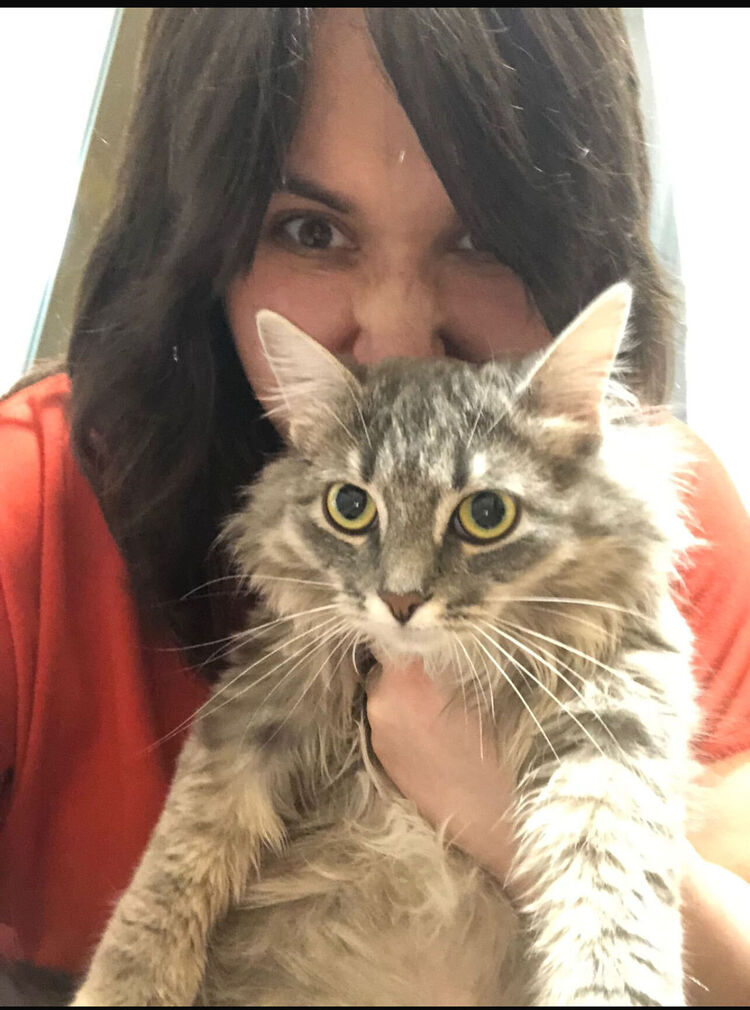 ���� 47868595 ������� �����, 30 ���, ���� ���������� � ������