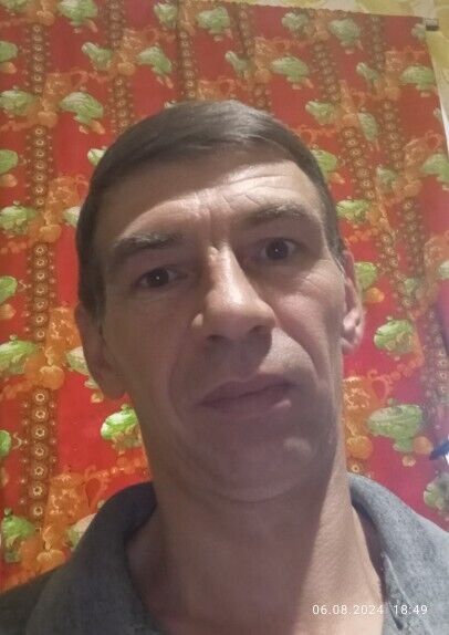 ���� 56231055 ������� ������, 48 ���, ���� ���������� � ���������