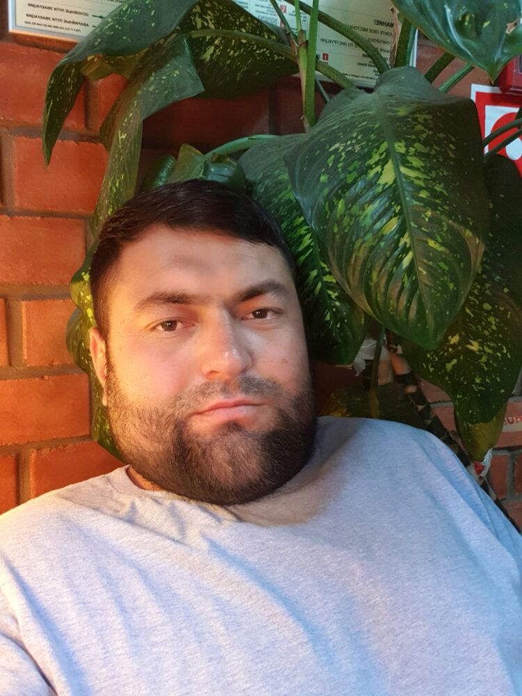 ���� 31217785 ������� �����, 36 ���, ���� ���������� � ������