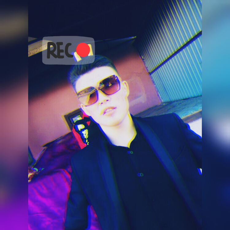  19406295  , 24 ,    -