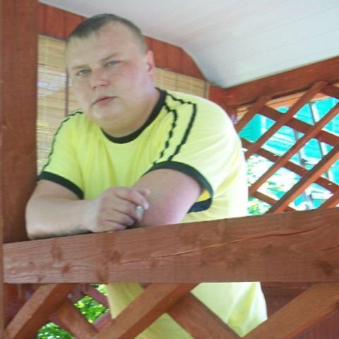  52809835  , 41 ,    