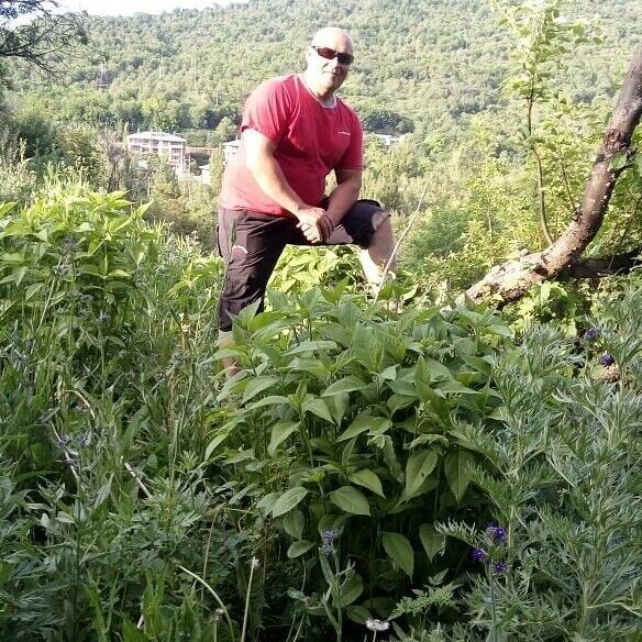 ���������� ������, ���� ������� ��������, 47 ���, ������������ ��� ������, ����� � ���������, c�������� ���������