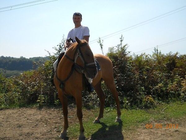 ���������� ����, ���� ������� Lan13, 48 ���, ������������ ��� ������, ����� � ���������, c�������� ���������