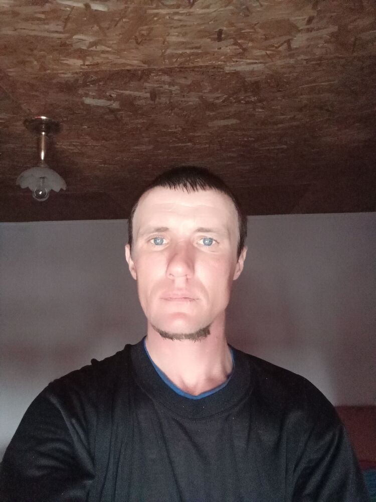  33993655  , 39 ,    