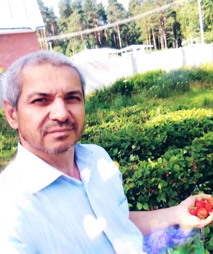  38056085  , 50 ,    -