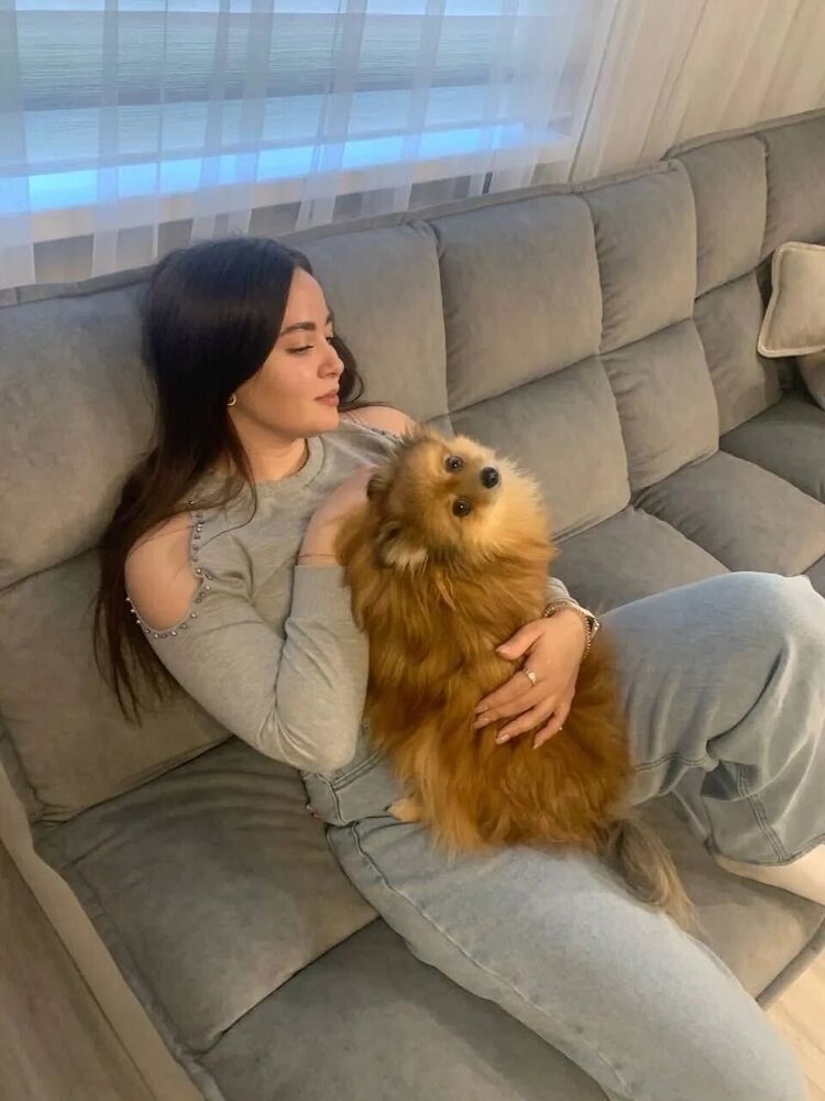  ,   , 22 ,   ,   , 