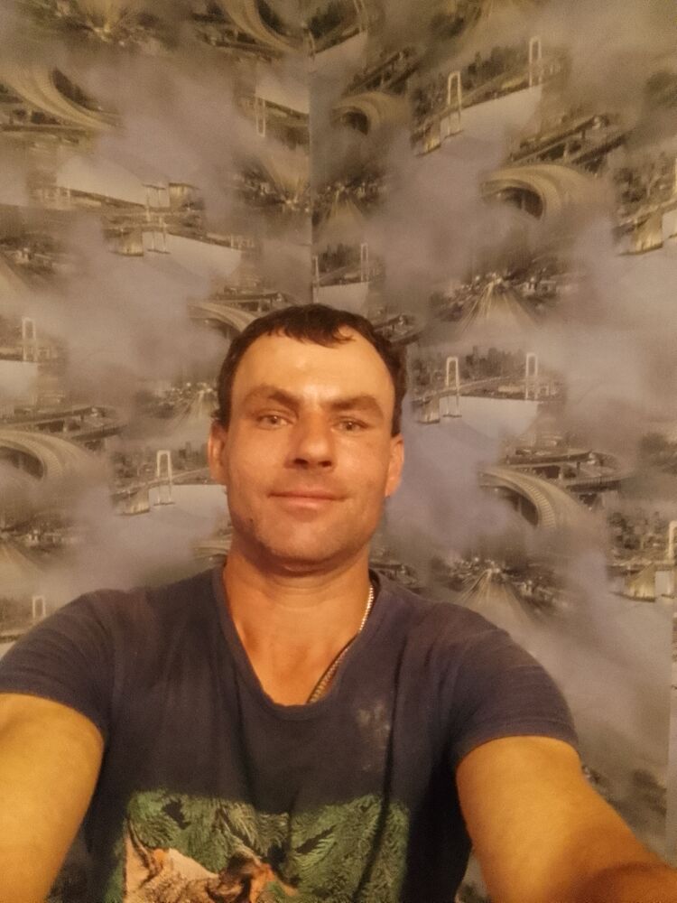  52553395  , 38 ,    
