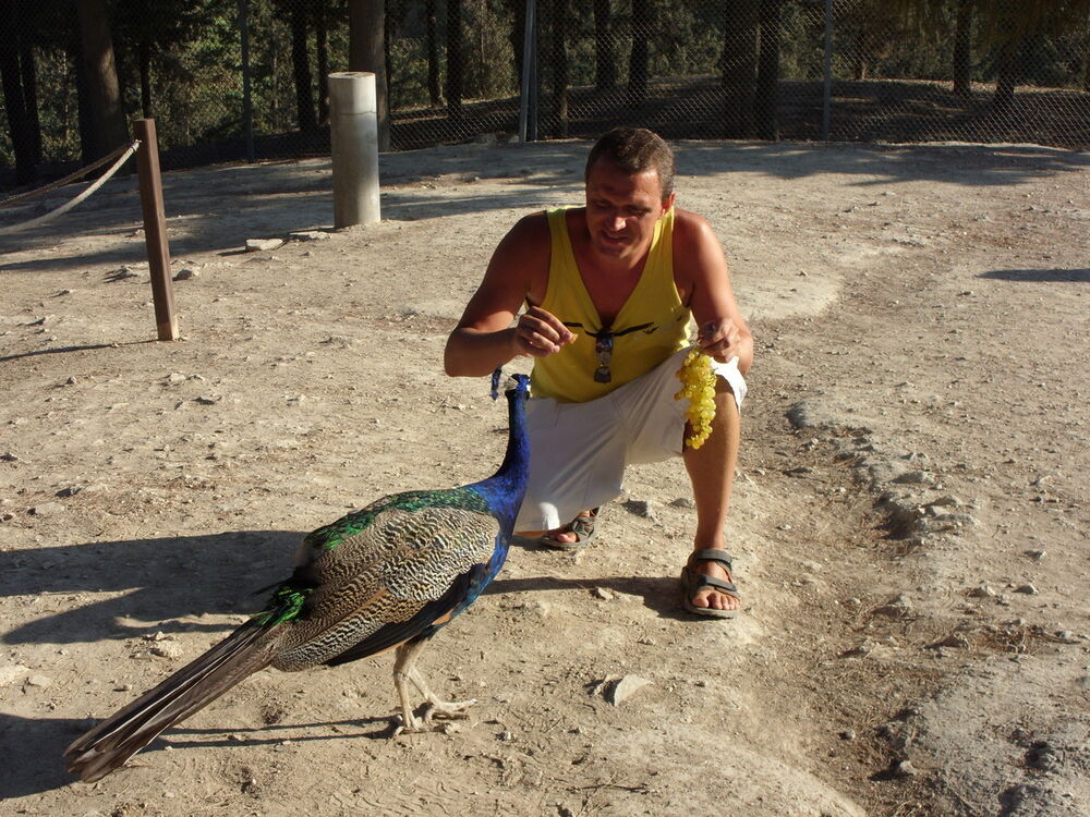 ���������� ������ ���, ���� ������� ����, 45 ���, ������������ ��� ������, ����� � ���������, c�������� ���������