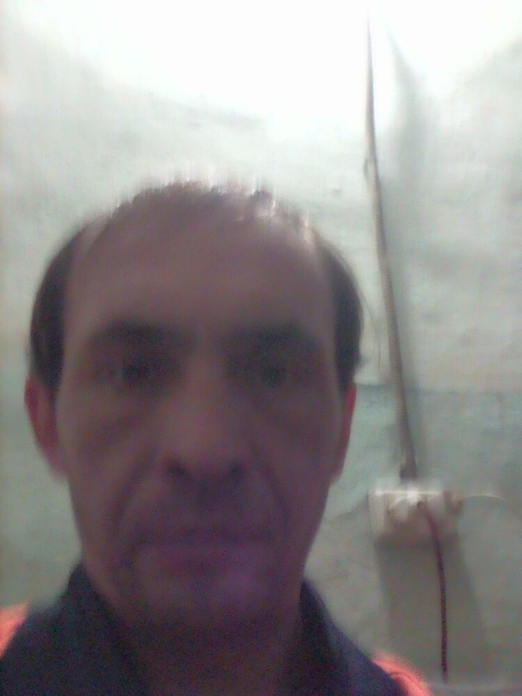  24396045  , 44 ,    