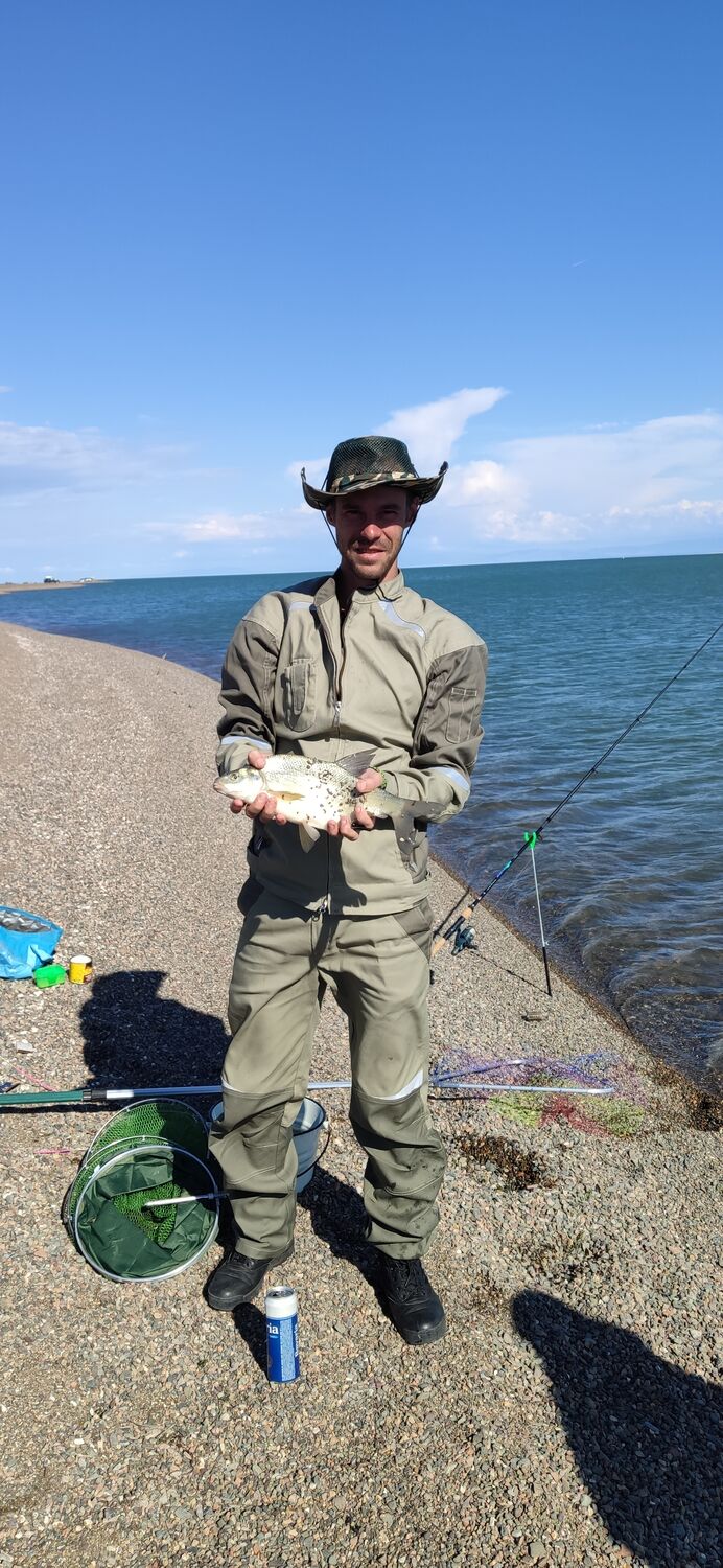 ���� 56147265 ������� ������, 33 ����, ���� ���������� � ������