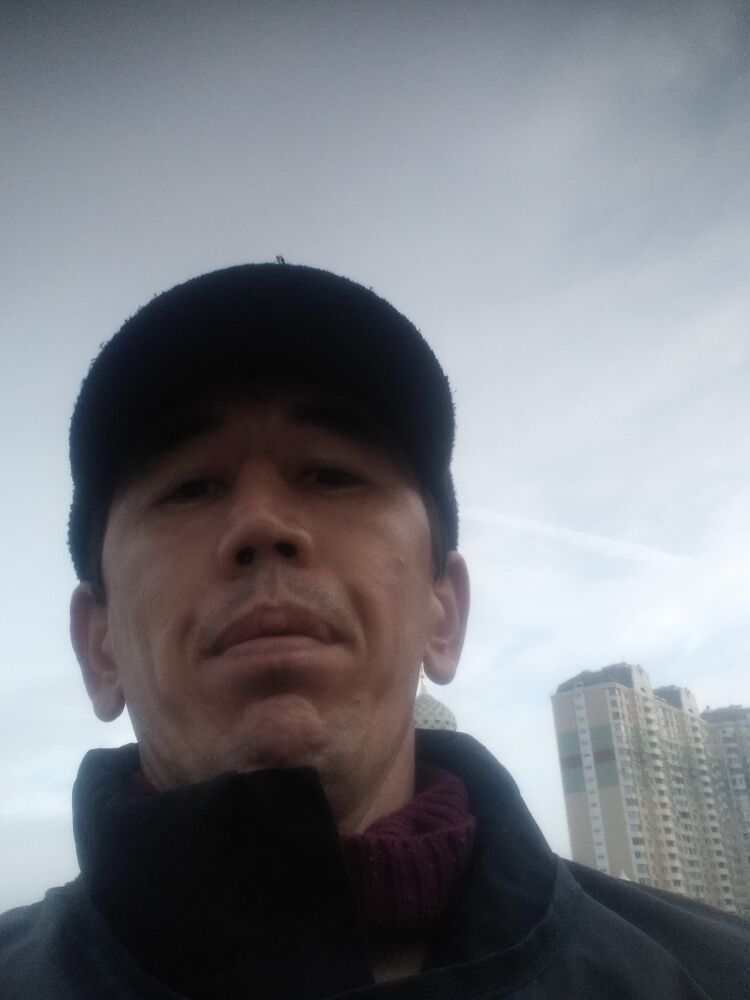  33652695  , 37 ,    