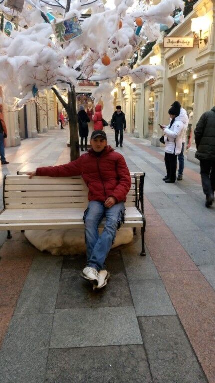  8262165  , 39 ,    -