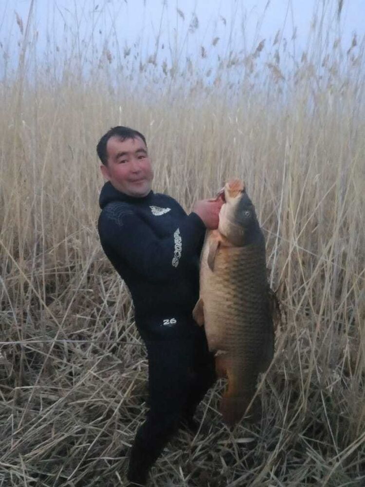  15907115  , 33 ,    -