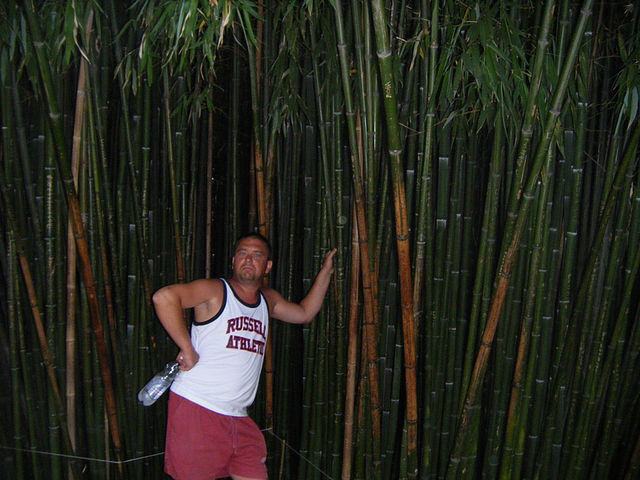 ���� 9117805 ������� ������, 54 ����, ���� ���������� � ������