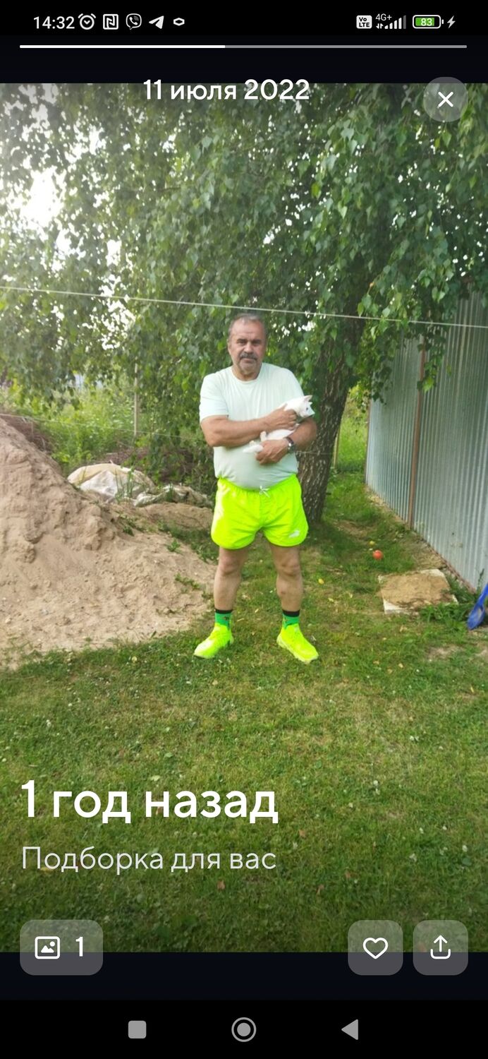 ���� 52380305 ������� ������, 65 ���, ���� ���������� � ������