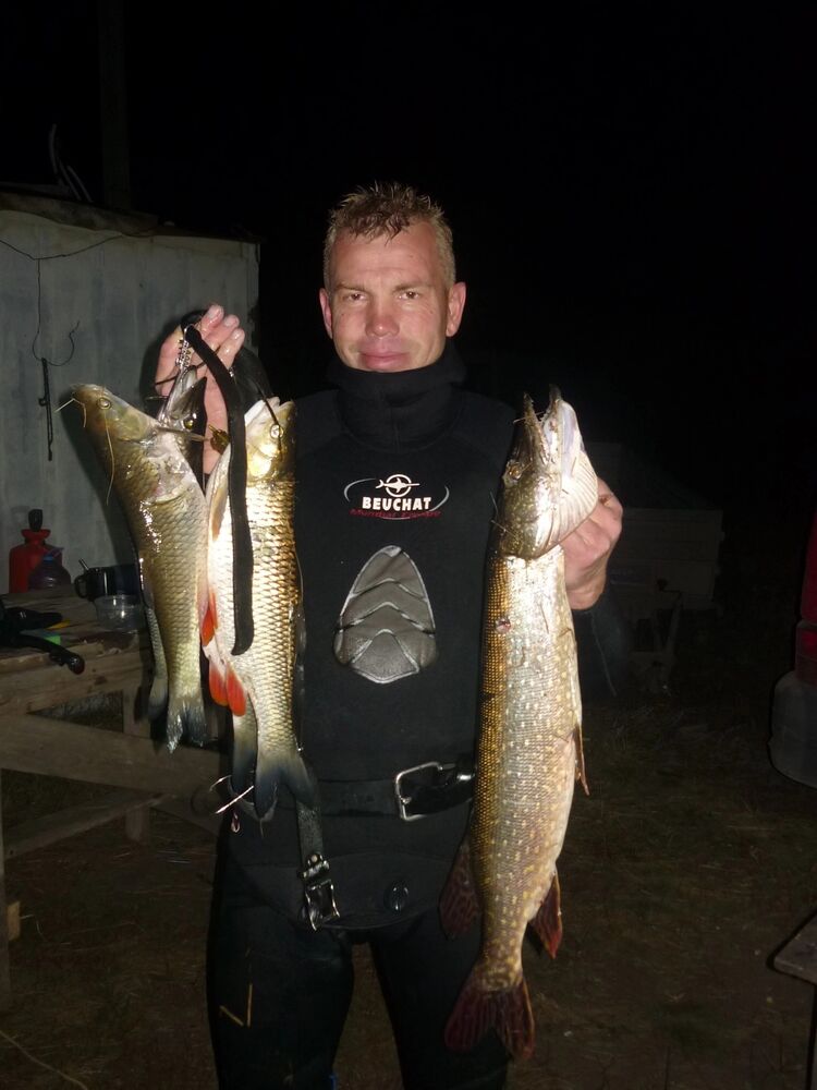 ���������� �����, ���� ������� ������, 41 ���, ������������ ��� ������, ����� � ���������