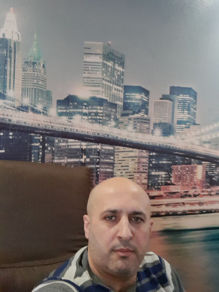  50203065  , 43 ,    