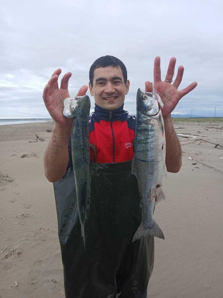 ���� 56003085 ������� ���������, 41 ���, ���� ���������� � ����-����������