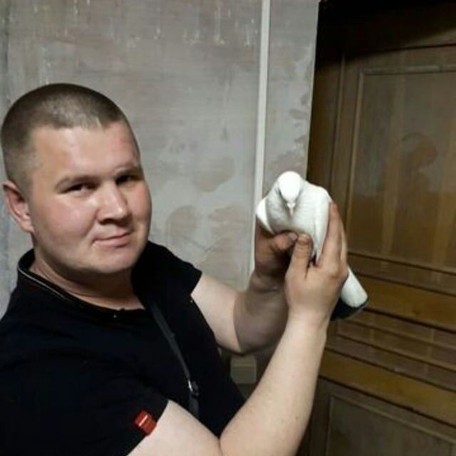 ���� 18885795 ������� �������, 37 ���, ���� ���������� � ���������