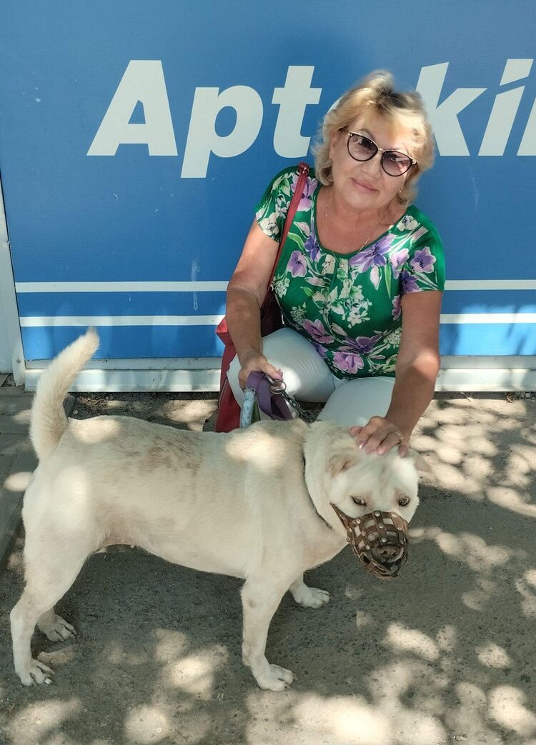 ���� 51930255 ������� ����, 50 ���, ���� ���������� � ����������