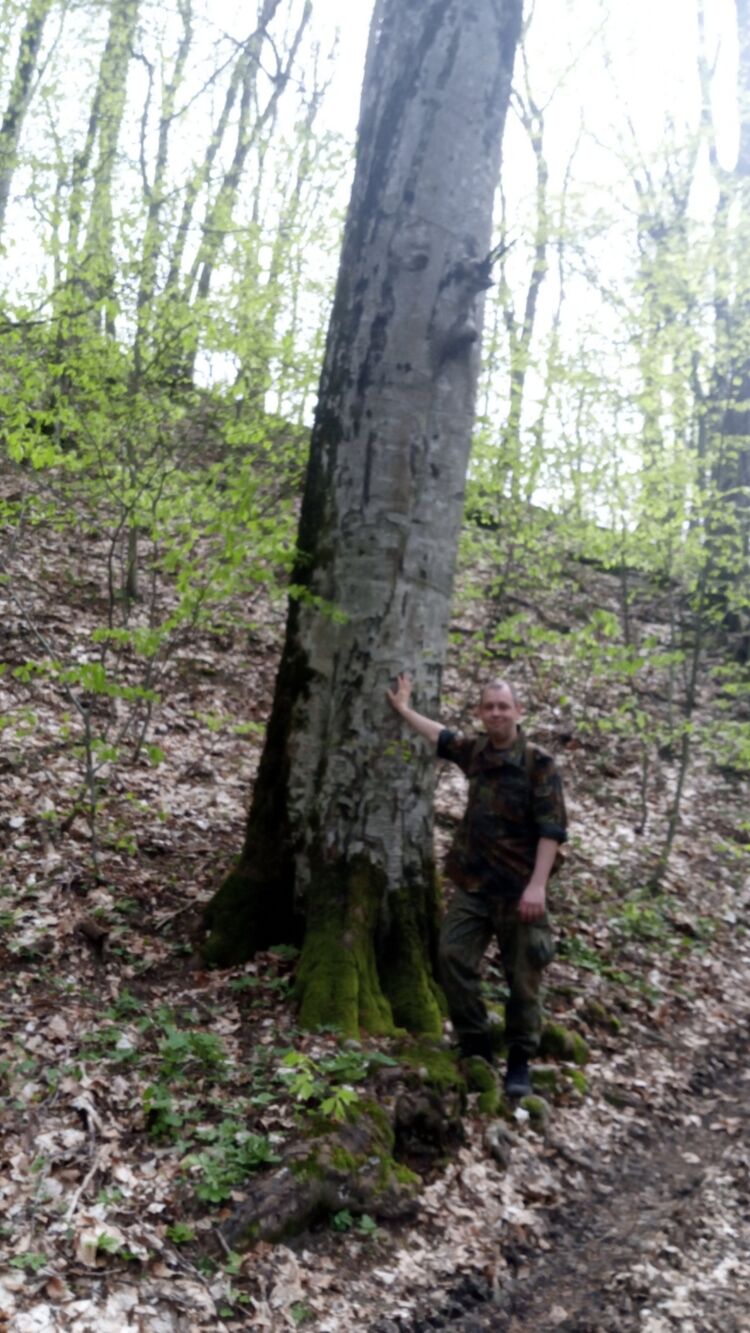 ���������� ������������, ���� ������� �������, 46 ���, ������������ ��� ������, ����� � ���������, c�������� ���������