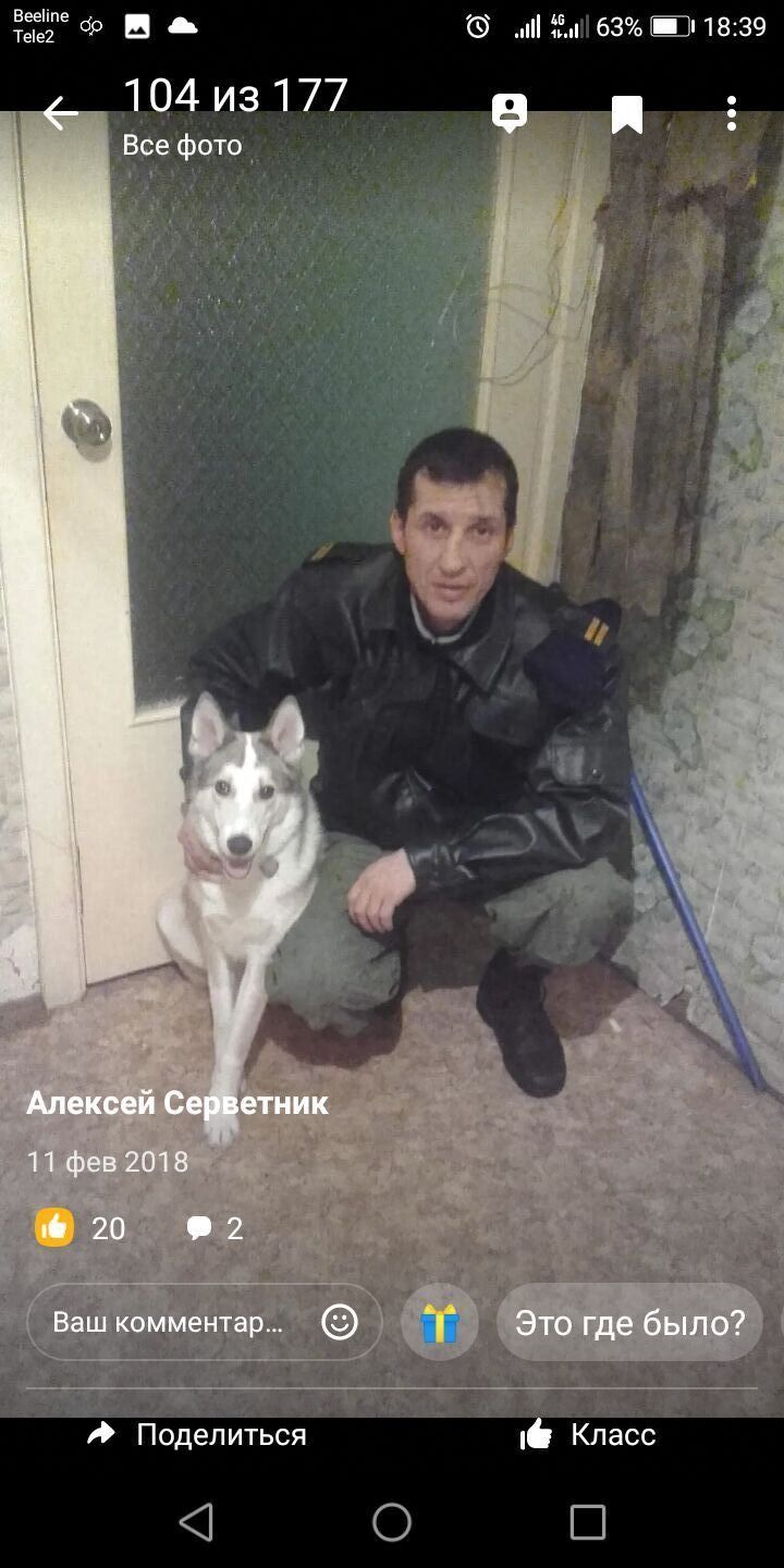 ���� 25359315 ������� �������, 44 ����, ���� ���������� � ������