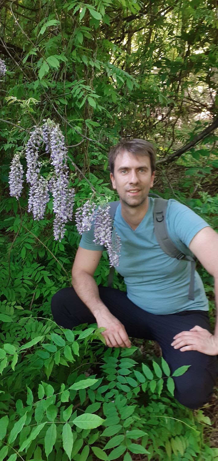 ���������� ����, ���� ������� ����, 36 ���, ������������ ��� ������, ����� � ���������, c�������� ���������, ���������