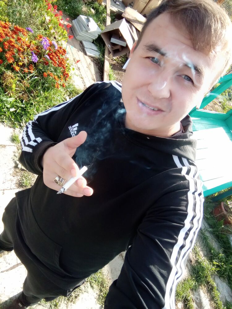  41509065  , 28 ,    