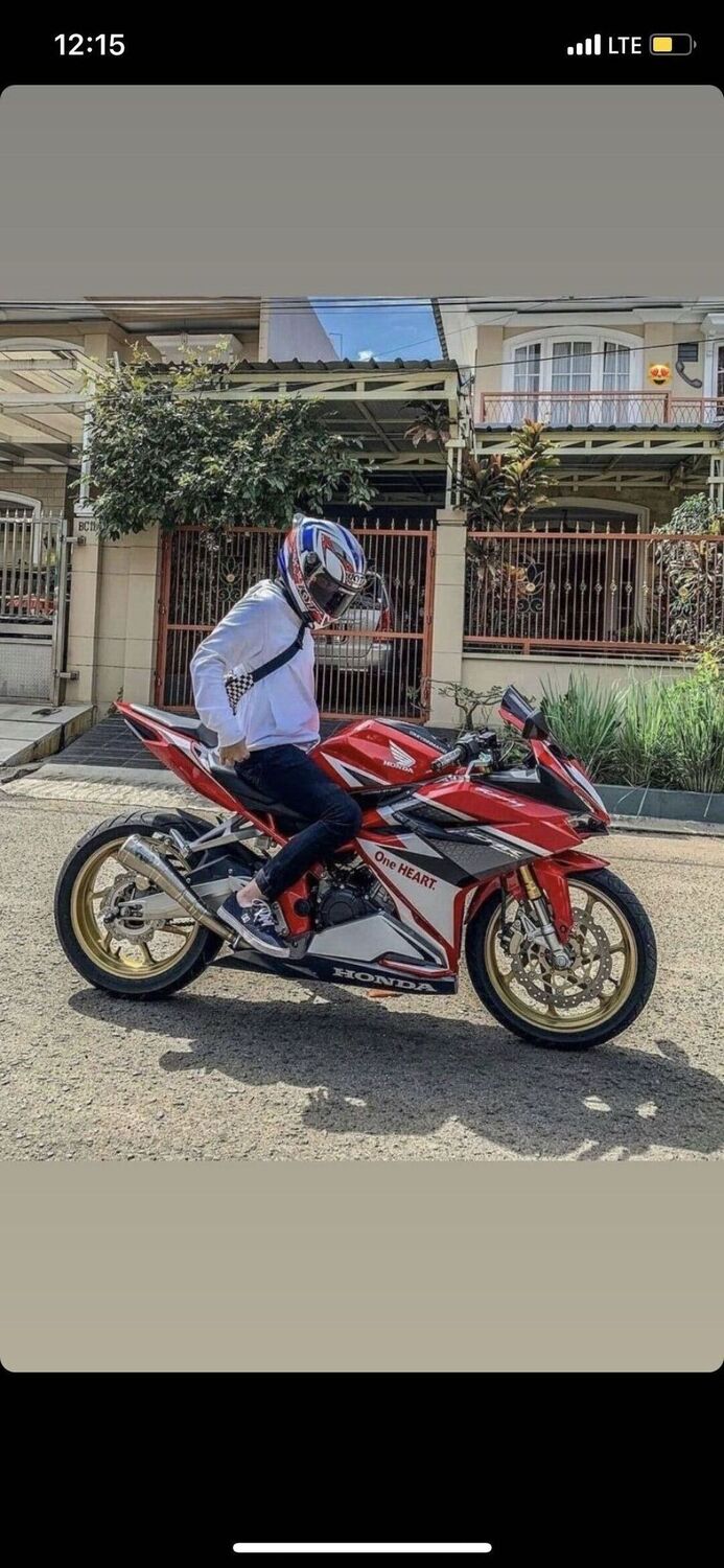  41036075  , 24 ,    