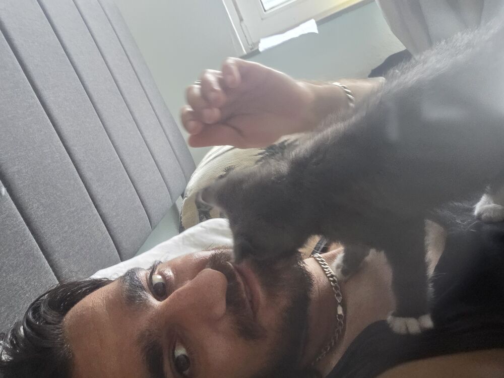  ,   Alex, 32 ,   ,   , c , 