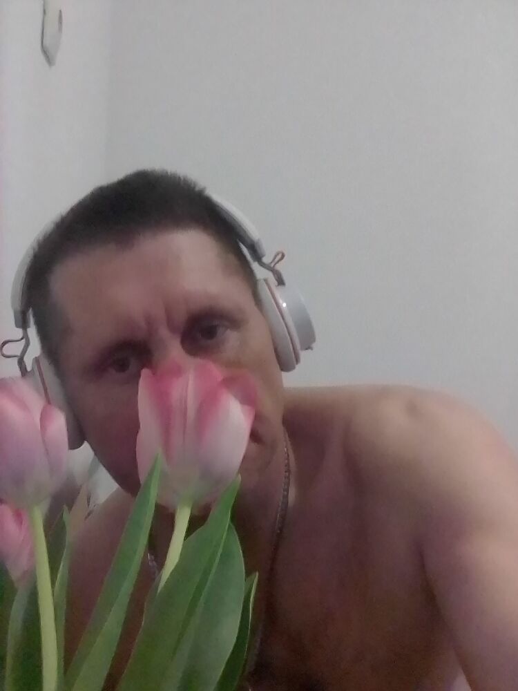  27634855  , 53 ,    