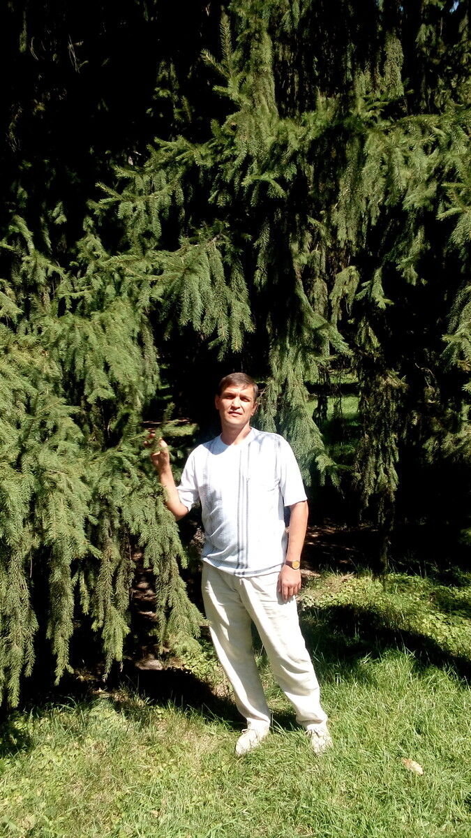  ,   Fox, 51 ,   ,   