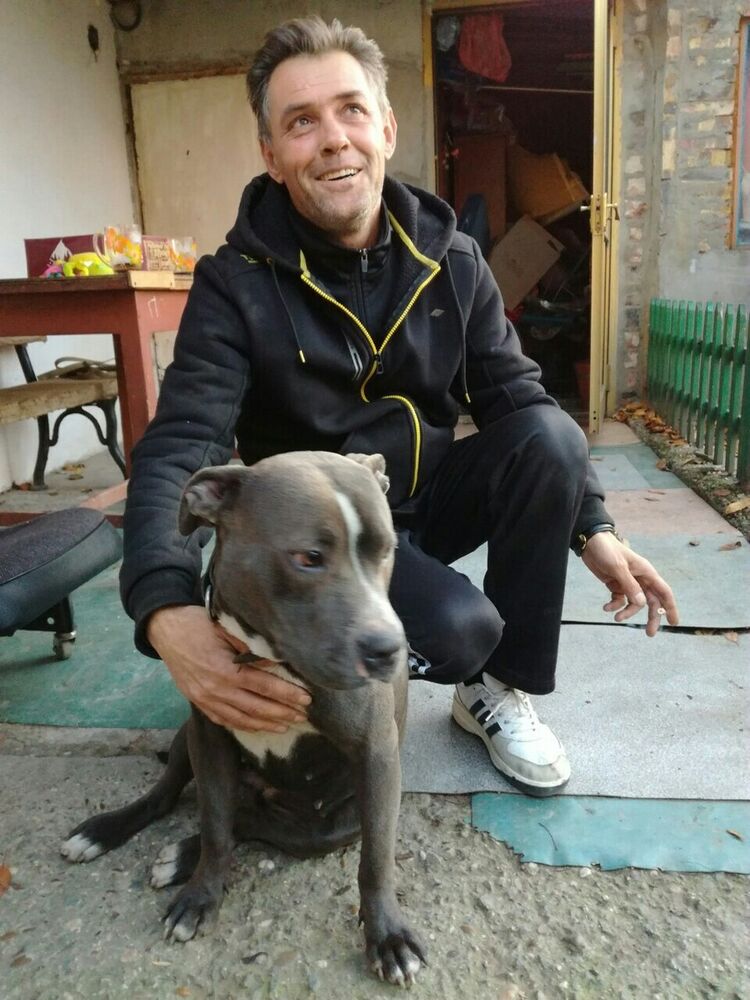 ���� 8906495 ������� ��������, 56 ���, ���� ���������� � �����������