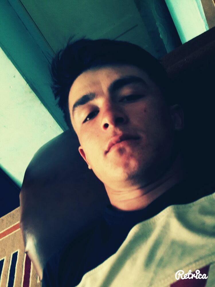  ,   Kobra, 31 ,   ,   , c 