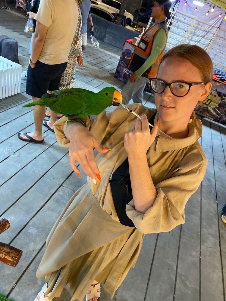 ���� 55055945 ������� ���, 26 ���, ���� ���������� � ������������-��-�����