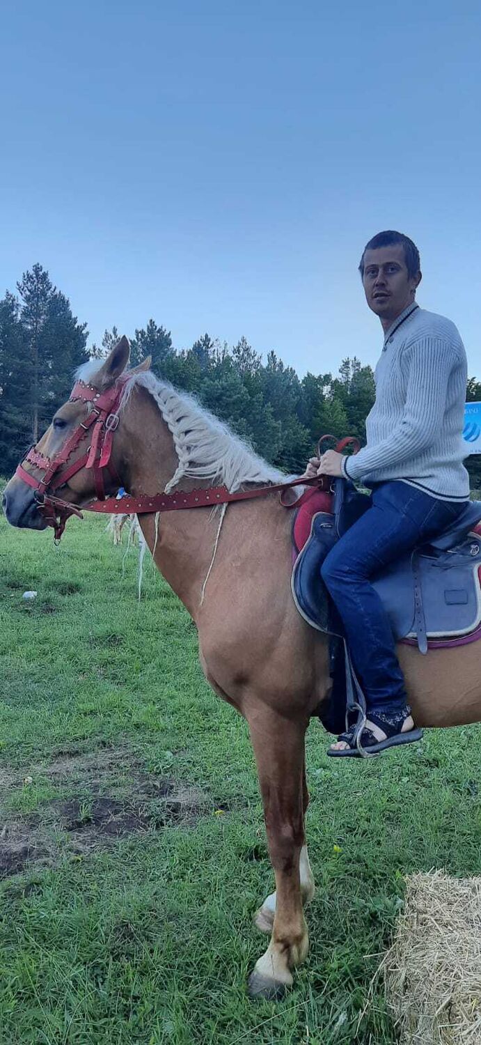 ���� 27878205 ������� ���������, 36 ���, ���� ���������� � �������