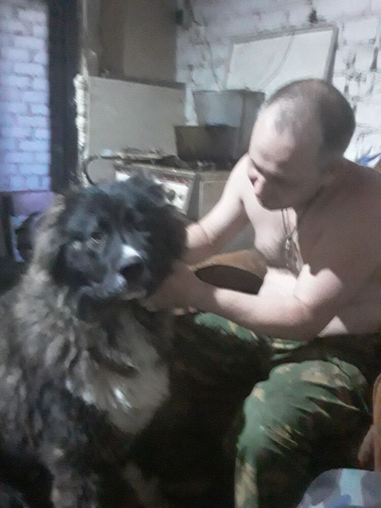 ���������� ������, ���� ������� �������, 45 ���, ������������ ��� ������, ����� � ���������