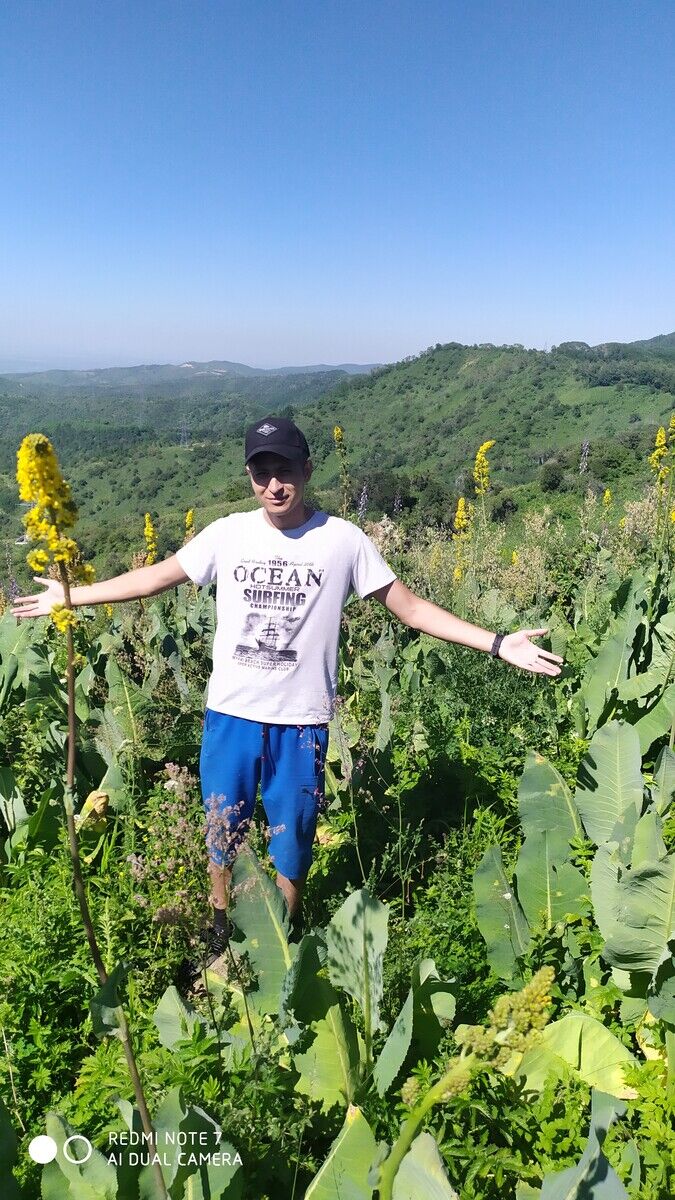 ���������� ������, ���� ������� �����, 34 ����, ������������ ��� ������, ����� � ���������, c�������� ���������