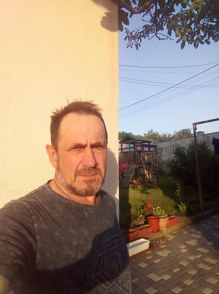  36487045  , 61 ,    