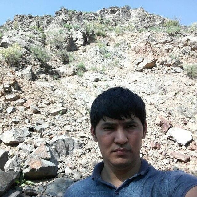 ���� 18186575 ������� �����, 34 ����, ���� ���������� � �������