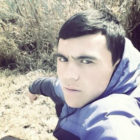 ���� 44373345 ����� ����, 24 ����, ���� ���������� � �������-��-����