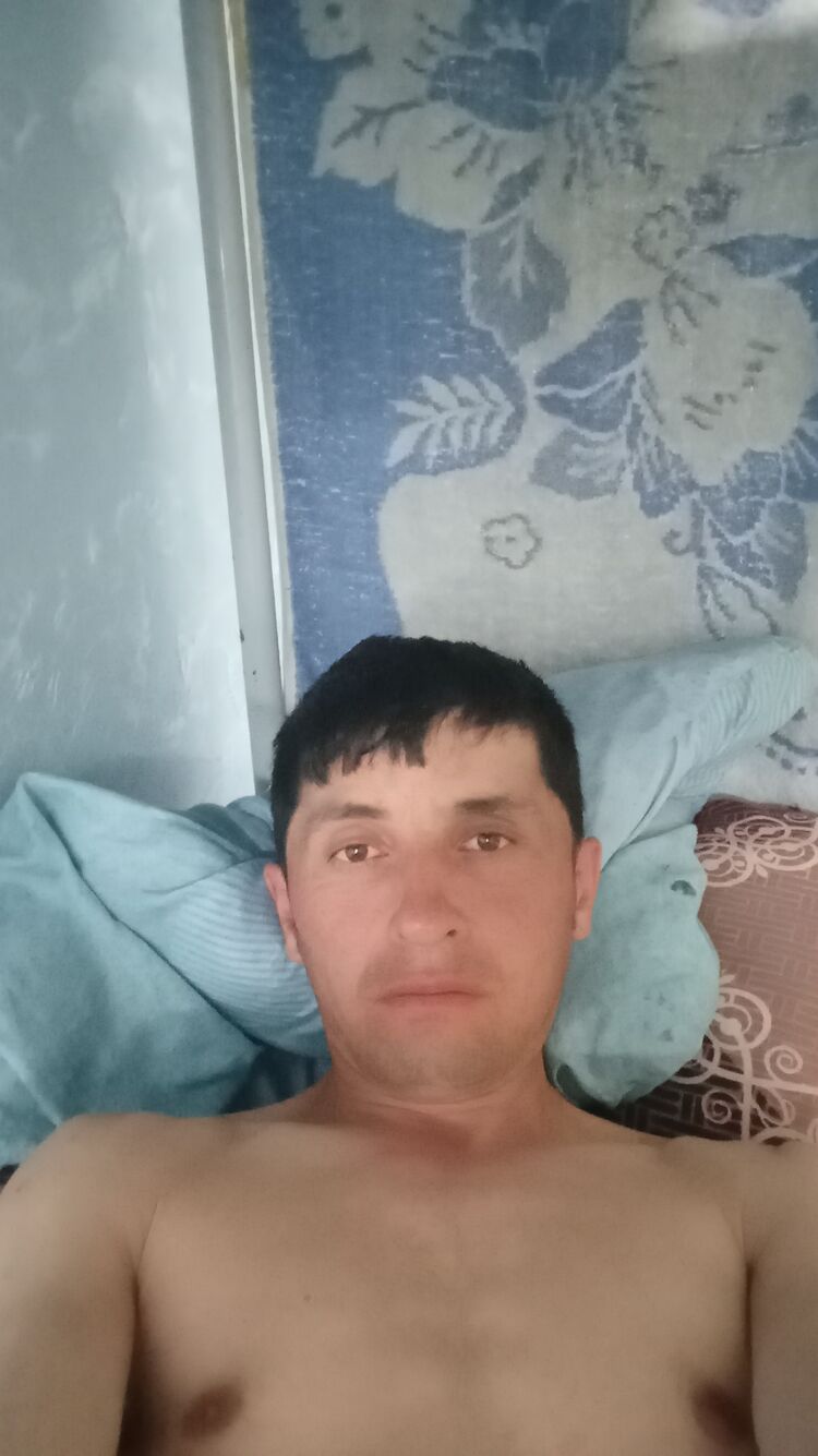  43346075  , 37 ,    