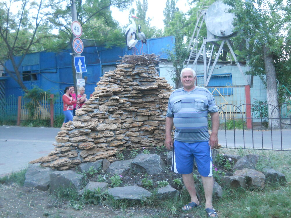 ���� 55443285 ������� �����, 69 ���, ���� ���������� � �������