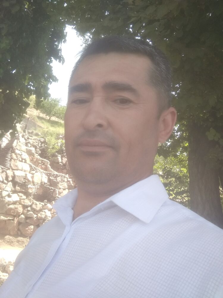  23771535  , 46 ,    