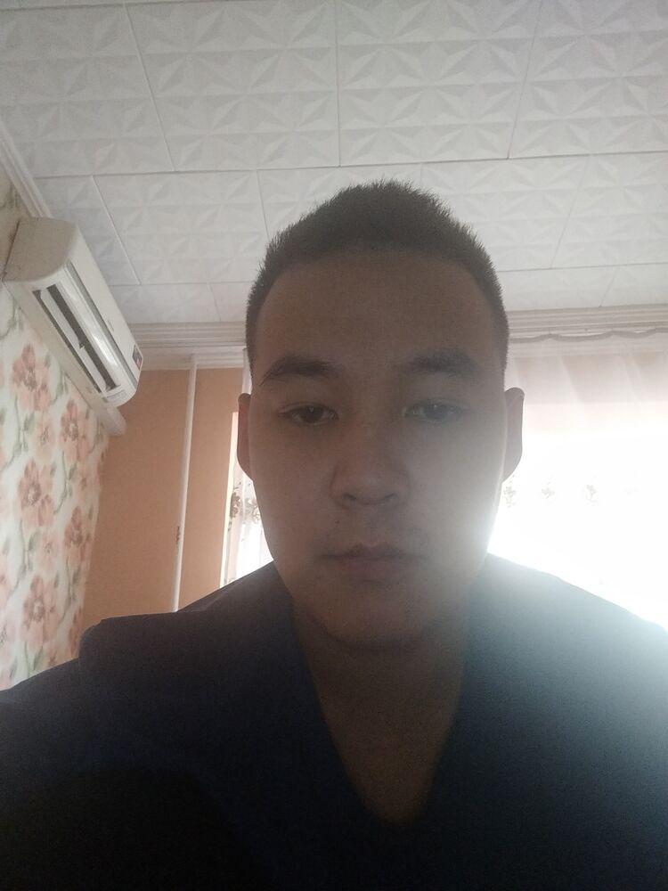  38339795  , 27 ,    --