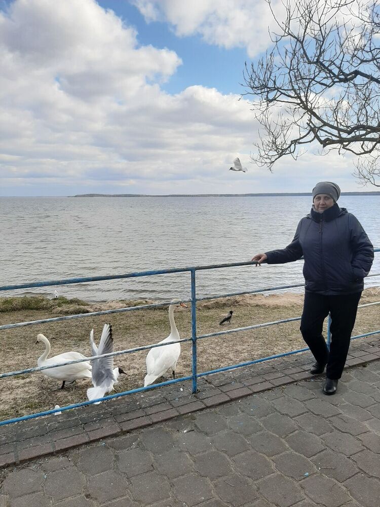  ,   , 60 ,   ,   