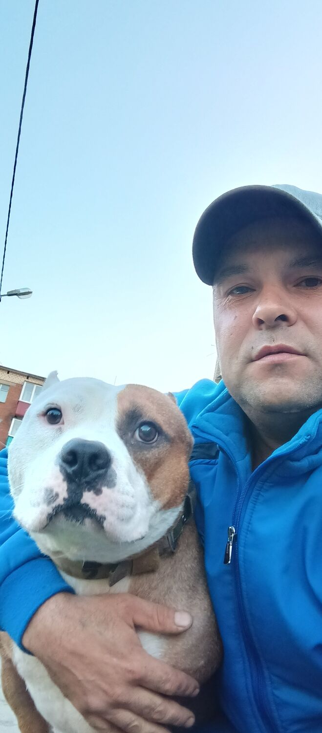 ���������� ���������, ���� ������� ������, 44 ����, ������������ ��� ������, ���������